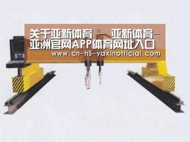 产品名称十八
