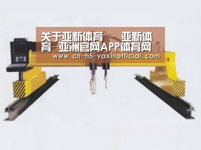 产品名称十九