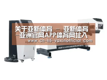 案例展示三