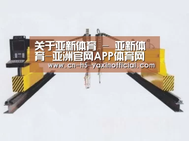 产品名称十七