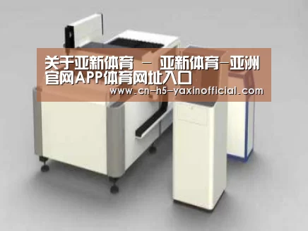 产品名称十五